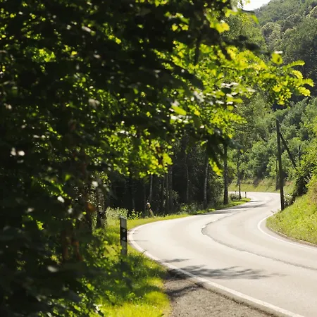 Leinbaum * Altleiningen