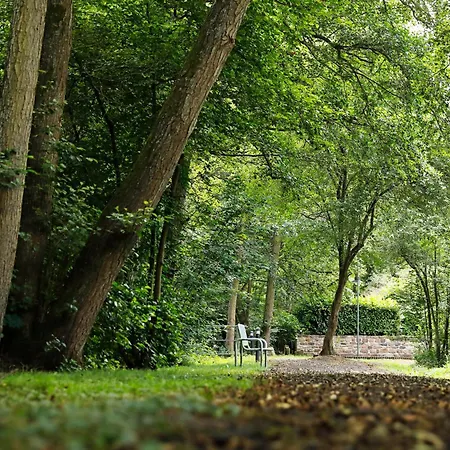 Leinbaum Altleiningen