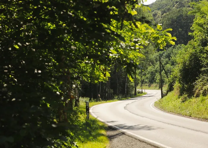 Leinbaum * Altleiningen