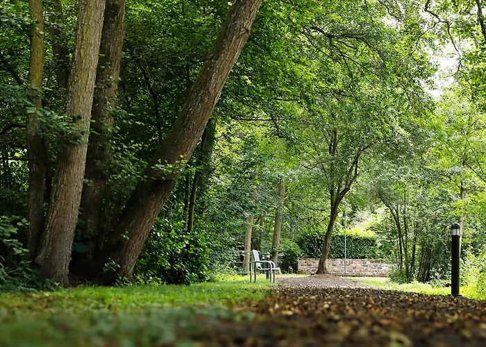 Leinbaum Altleiningen